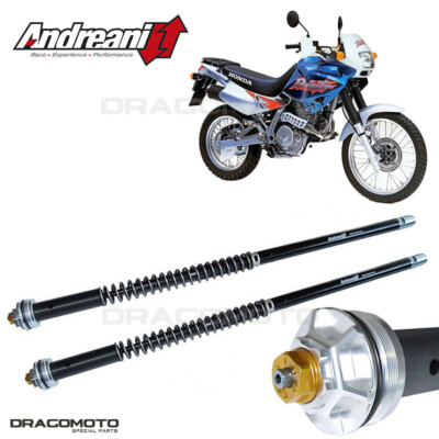 Honda NX 650 Dominator 1994-2000 Patrone ANDREANI 105/H21E MISANO EVO