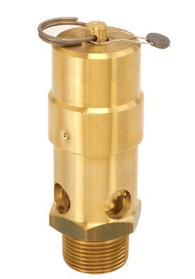 Control Devices SW10-0A200 SW Series Brass Soft Seat ASME Safety Valve, 200