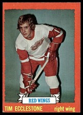 1973-74 Topps Hockey Card Tim Ecclestone Detroit Red Wings #124 EX-MT