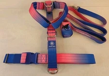 Spark Paws Harness Leash & Poop Bag Set Sz Lrg Color: Snow Cone ~ Heavy Duty