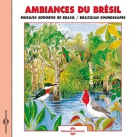 Birdsong - Brazilian Soundscapes - Cd - G3Z