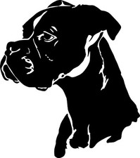 adesivo cane BOXER molosso sticker moto scooter auto tuning tv