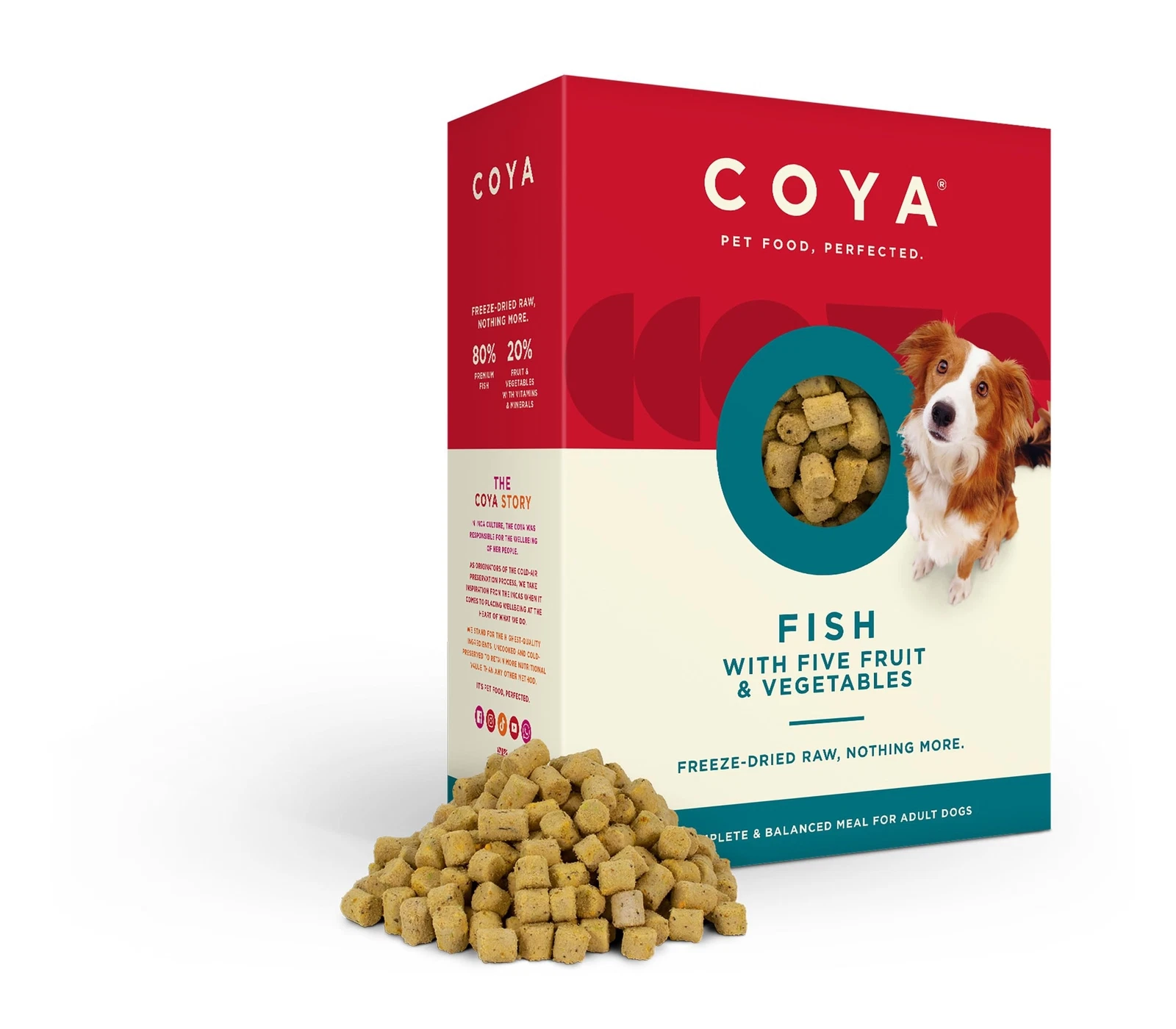 COYA Freeze-Dried Raw Dog Food, Fish (650g) Hypoallergenic & Grain Free, Made...
Opens in a new wind