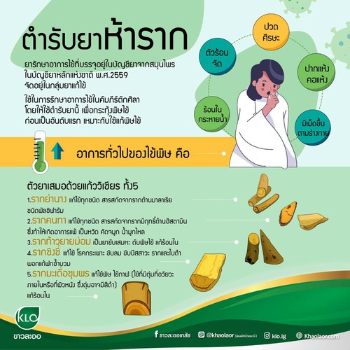 Relief Virus Fever Set Thai Traditional Antipyretic Herb Recipe Taksila Medicine - Picture 9 of 22