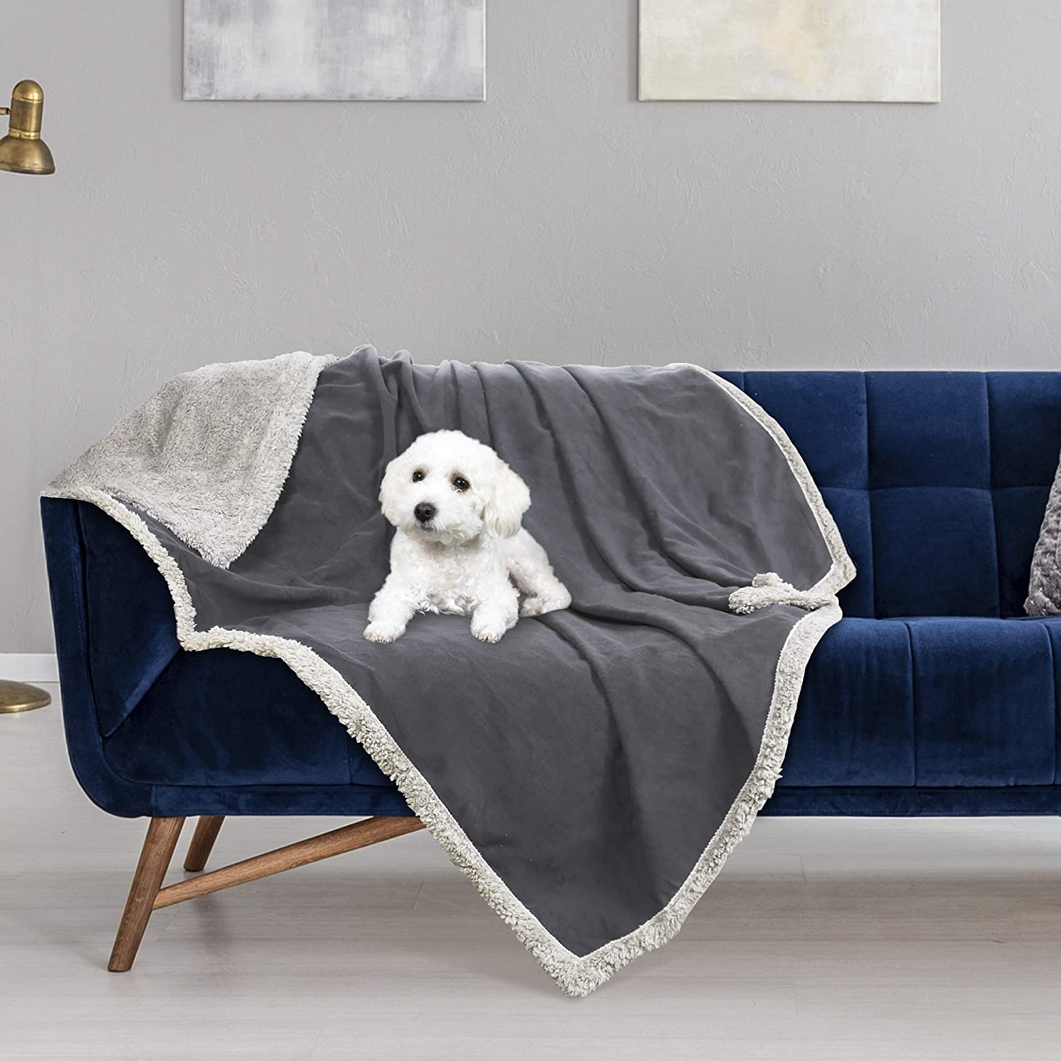 pet car seats for dogs