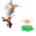 Cat Teaser Toy Rotatable Pet Supplies Hummingbird Shape Electric Interactive Toy