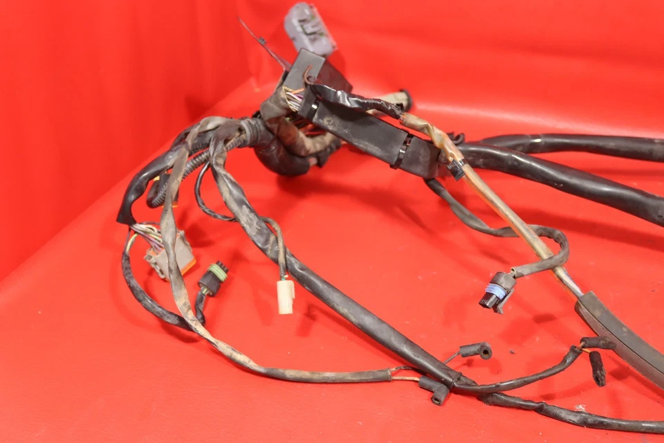 Harley-Davidson Softail 2003 aniversario estándar EFI FXSTI arnés de cable principal Foto 2 de 4