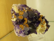 Violetter Fluorit von Berbes, Ribadesella Asturias Spanien # 2