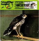 Dr Jim Stamps Maximum Card Modern Goshawk Bird 85C Fdc