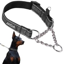 Martingale Collar for Dogs, Adjustable with Reflective Stainless Steel Chain,...