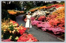 Washington Park Portland Oregon Azalea Gardens Vintage Postcard