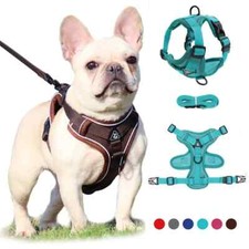 No Pull Dog Harness and Leash Set Adjustable Pet Harness Vest For Small Dog