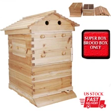 Wooden Auto Bee Hive Box Beekeeping Beehive House for Plastic Bee Hive Frames US