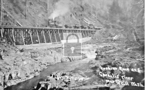 Logging Railroad Train Chehalis River Pe Ell Washington WA - REPRINT