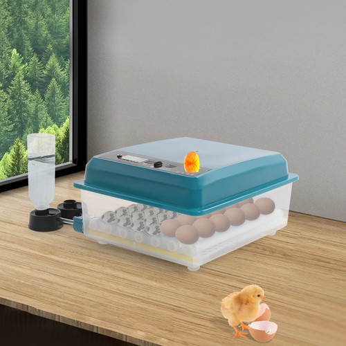 Incubatrice per uova con rotazione automatica delle uova, incubatrice per uova di gallina - Foto 2 di 16
