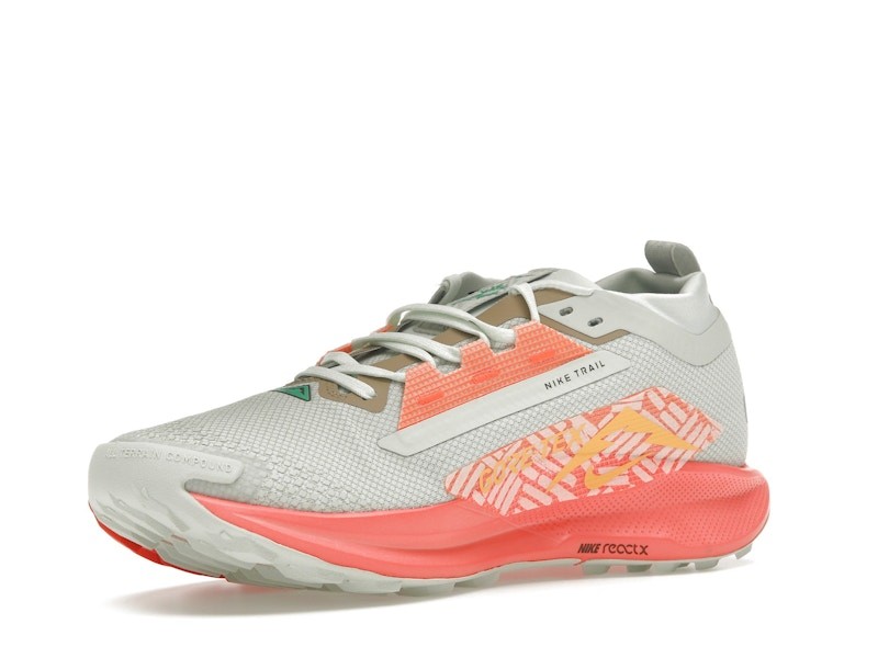Size 11 - Nike Pegasus Trail 5 GORE-TEX Light Silver Wild Mango