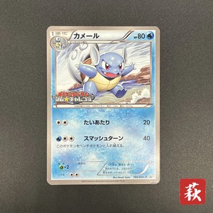 Japanese Wartortle | eBay