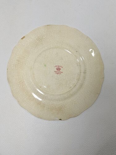 Plato de cena Johnson Brothers Dorchester 1931 flores de tulipanes rojos 8 3/4" NOTA - Imagen 4 de 8