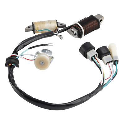 Stator Lichtmaschine für Yamaha YFM 80 Badger 92-1994 / YFM 100 Champ 1989-1991
