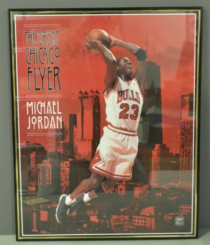 Michael Jordan Bulls The Great Chicago Flyer 15.5