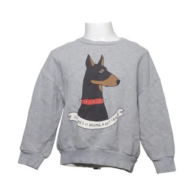 Mini Rodini, Sweatshirt, Größe: 116/122, Grau, Baumwolle, Print, Sweat #GFU