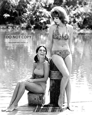 TINA LOUISE & DAWN WELLS IN ''GILLIGAN'S ISLAND'' PIN UP - 8X10 PHOTO (MW-962)