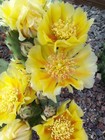 Bild 4 von 5