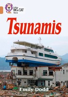 Emily Dodd | Tsunamis | Taschenbuch | Englisch (2017) | Band 12/Copper