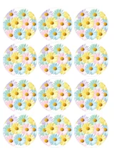 12 count pastel daisy flower Edible Image rounds OR 1 cake, Wafer paper, pre cut