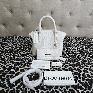 Coconut Milk Brahmin | eBay display picture 3