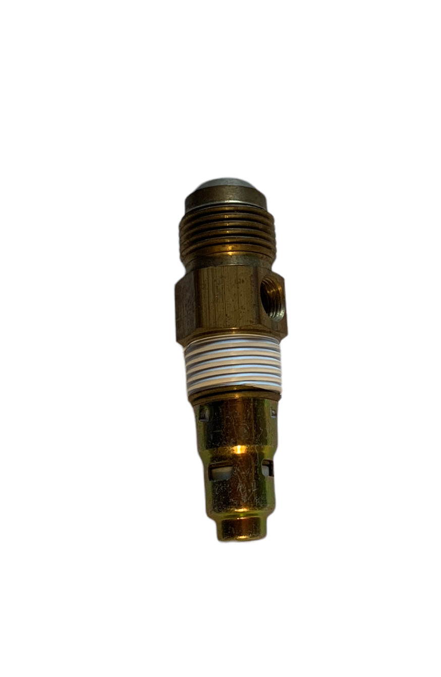Check Valve (6 Month Warranty)