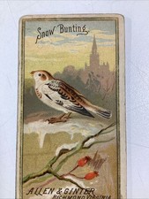 Tobacco Card 1800s Original Antique Allen Ginter Birds Of America Snow Bunting