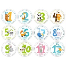 12 PCS Newborn Monthly Milestone Stickers Boho Stickers Photographic Props