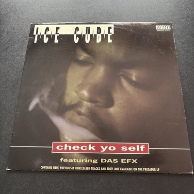 1993 ICE CUBE - CHECK YO SELF  DAS EFX - PRIORITY RECORDS OG PRESSING Pristine