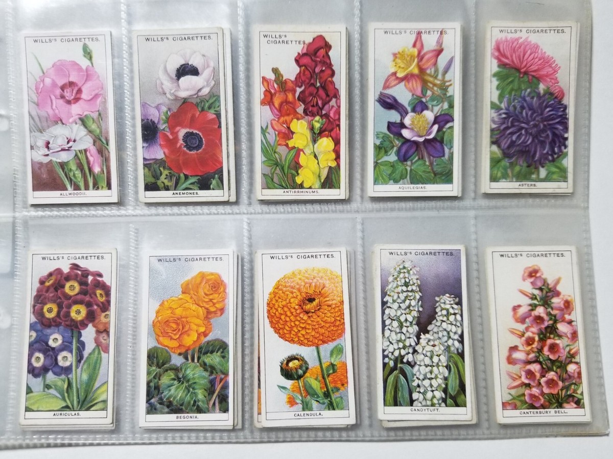 flower cigarette cards 1933 GARDEN FLOWERS complete set of 50 