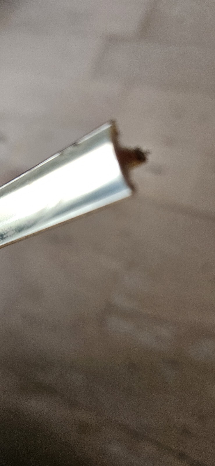 Rare Vtg VOX Grille Cloth, Piping, Trim 60s Pathfinder Viscount Beatles