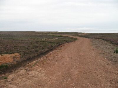 Photo 6x4 Newly surfaced track, Polwarth Moor Recently regraded track. c2007