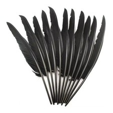 Extra Large Black Goose Feathers Arts Crafts Hat Costume Wedding 32cm - 40cm UK