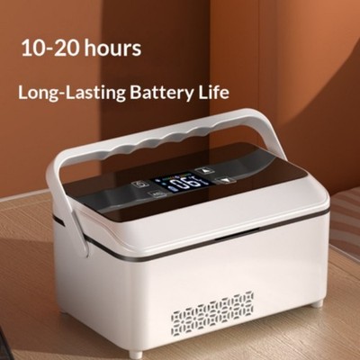 Portable Refrigerator Cool Box Mini Dual-Use CarHome Cooling USB-Powered Compact