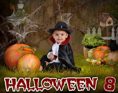 H8 Halloween Digital Backgrounds Backdrops Children Holiday Senior Photography