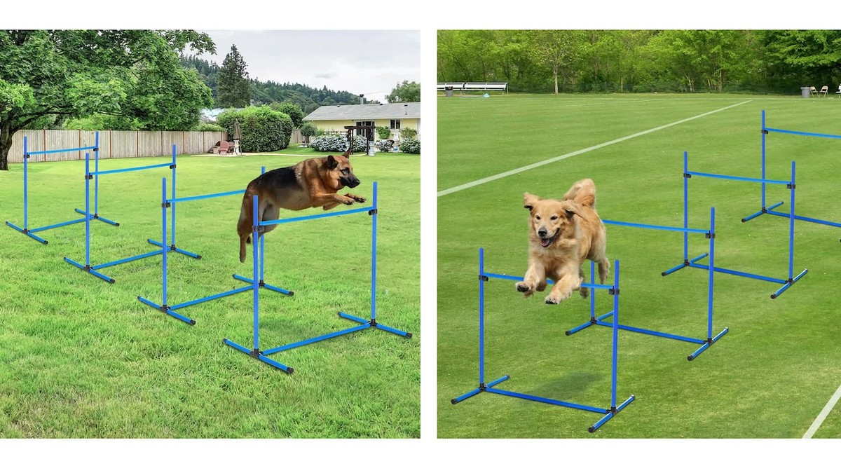 Canine Agility Set Dog Jumping Training Obstacles Course Free