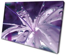 Floral Flowers BOTANICAL SINGLE CANVAS WALL ART Picture Print VA