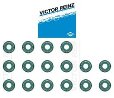 VICTOR REINZ Dichtungssatz Ventilschaft für MERCEDES B-KLASSE W245 W246 W242 VICTOR REINZ Dichtungssatz Ventilschaft für MERCEDES B-KLASSE W245 W246 W242