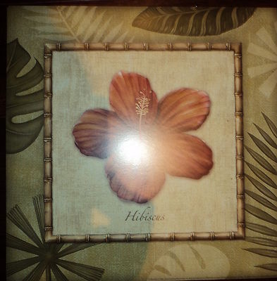ART PRINT~Paradiso II Charlene Audrey Hibiscus Plant Floral Home