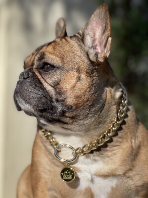 Gold Dog Chain 18   Designer Fashion Chain By Bek&Co
