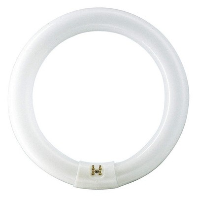 PHILIPS FC8T9/COOL WHITE PLUS PK 12 Fluorescent,20.5 W,T9,4-Pin (G10q) 492Y30