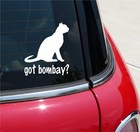 Got Bombay? Cat Graphic Decal Sticker Art Car Wall