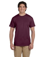 Hanes Men's 50/50 EcoSmart  Crew Neck Tee Shirt S-4XL T-Shirt 5170