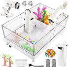 Small Turtle Tank Kit - Turtle Aquarium with Light Filter Rocks Brush and Plant