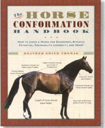 The Horse Conformation Handbook. Thomas, Rissanen, (ILT) 9781580175586 New** - Image 6